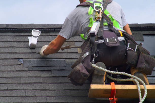 Best Roof Waterproofing Services  in Merrillville, IN