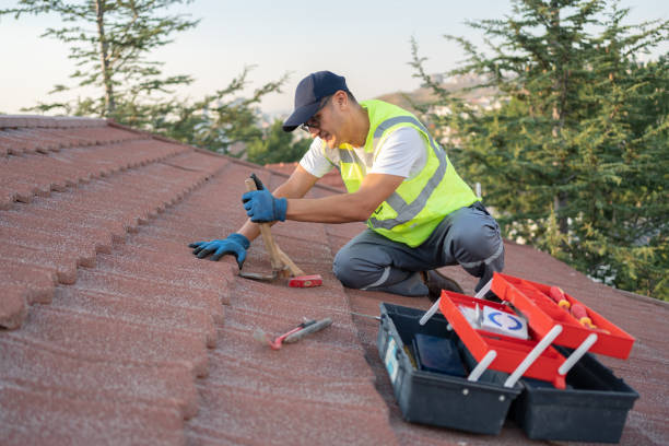 Best Roof Leak Repair  in Merrillville, IN